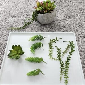 Ashland Vibrant Green Faux Succulent Set